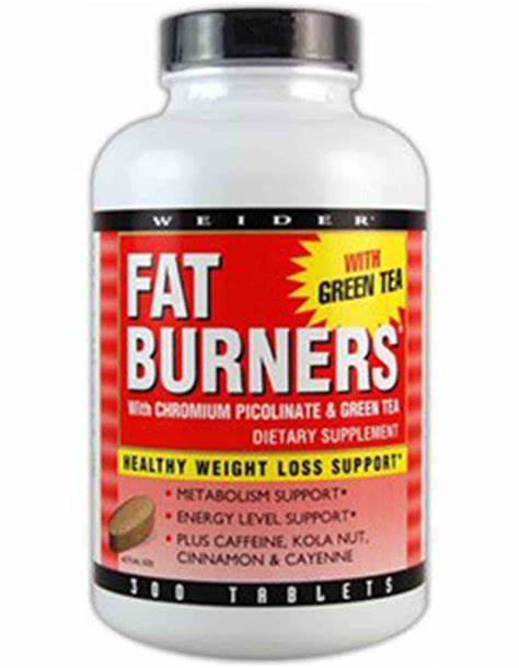 Are You Looking For The Best Fat Burners To Purchase?