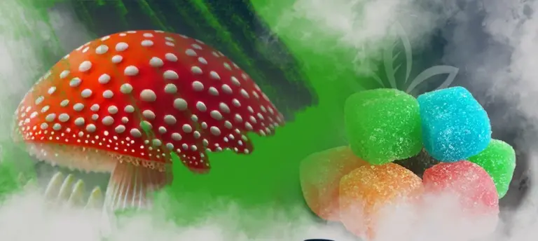 Amanita Gummies: A Fun and Nutritious Delight for Kids